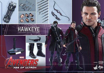 全新 Hot Toys 1/6 MMS289 1/6 Avengers 復仇者聯盟2 奧創紀元 鷹眼 Hawkeye