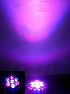增豔燈多光譜 E27燈泡杯燈☀MoMi高亮度LED台灣製☀21W(3Wx7) 水族紅龍銀龍海水魚植物養植照明燈Par30