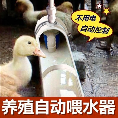 新款雞鴨鵝自動喂水器飲水器家禽鴨子喝水飲水槽牛羊設 促銷