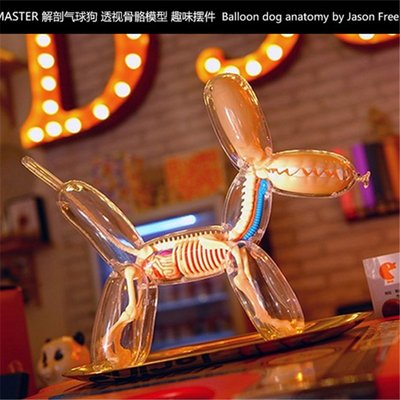 4D Master藝術家 Jason Freeny益智拼裝玩具大氣球狗透視骨骼解剖