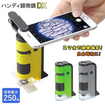 日本 藤井 Raymay 攜帶式 兒童 可變焦 顯微鏡 DX 100~250倍【全日空】