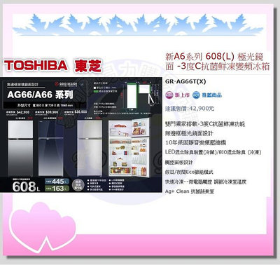 易力購【 TOSHIBA 東芝原廠正品全新】 變頻雙門冰箱 GR-AG66T(X)《608L公升》全省運送
