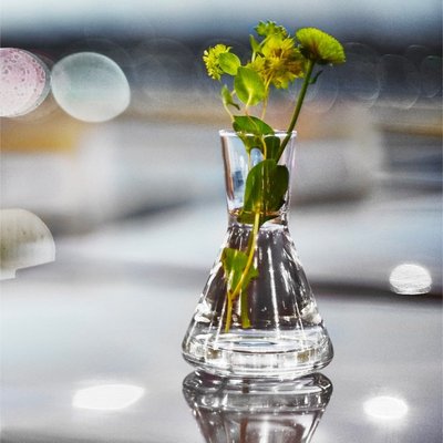 精選好物瑞典 Design House Stockholm Trio Vases set of 3 Clear 花瓶