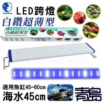 Y。。。青島水族。。。YX-45-B台灣paopaozone泡泡龍-白鑽超薄型LED跨燈 珊瑚 藍白燈==海水45cm