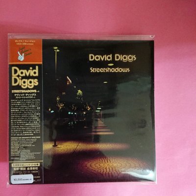 David Diggs Streetshadows 日本Mini LP CD AOR 搖滾 S2 VSCD-2358