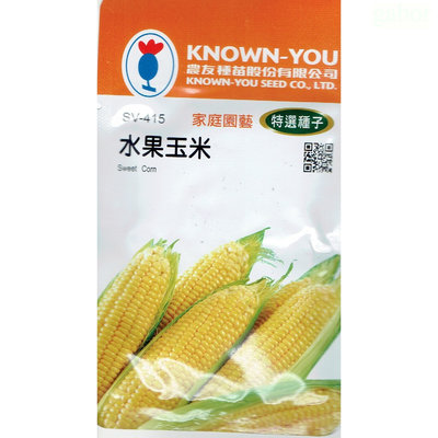 種子王國 水果玉米 Sweet Corn (sv-415) 玉米  【蔬果種子】農友種苗特選種子 每包約10公克