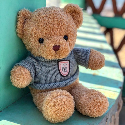 可愛小熊玩偶布娃娃泰迪熊毛絨玩具公仔大號抱枕送女生日兒童禮物