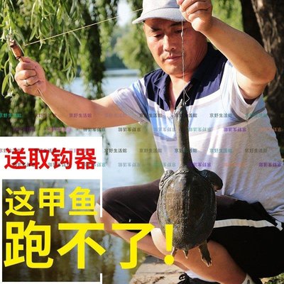 【京野生活館】釣甲魚鉤線組套裝全套地插排鉤甲魚黑魚黃鱔鯰魚王八鉤懶人鉤手釣