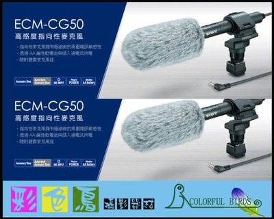 彩色鳥 (收音設備出租,攝影機出租,相機出租) SONY ECM-CG50 指向性麥克風