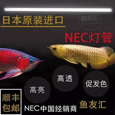 魚友匯nec潛水燈魚缸水中養魚6700k紅龍龍魚紅燈管專用t8水族白燈