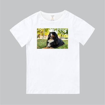 T365 MIT 親子 童裝 情侶 T恤 T-shirt 短T 狗 DOG 伯恩山犬 Bernese Mountain