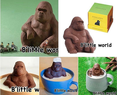 *B Little World * [預購] 日本生物學家巧克力禮盒-猩猩