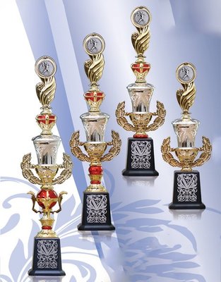 【 獎盃 8015 】 運動獎盃 金像獎獎盃 運動獎杯 比賽獎盃 紀念獎杯 紀念座 獎座 獎盃訂製
