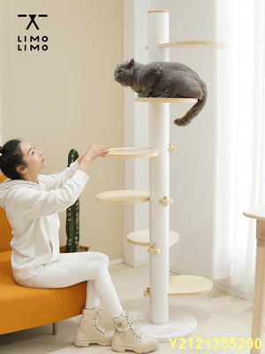 極簡通天柱設計感limolimo旋轉花瓣網紅貓爬架頂天立地貓樹貓跳台.
