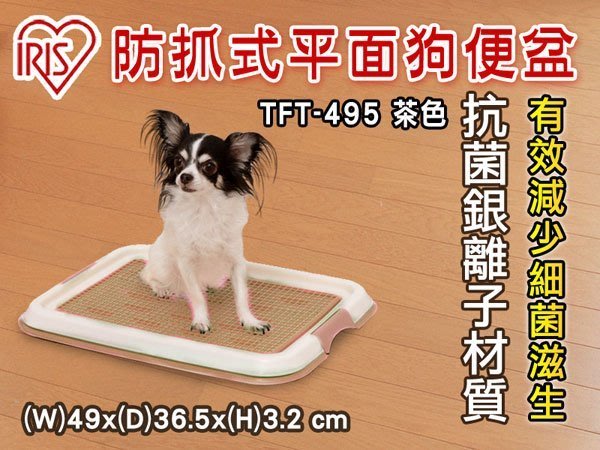 努力する件名口犬尿茶色 Trulyabsolute Org