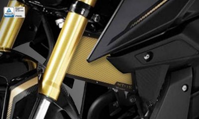 【R.S MOTO】YAMAHA M-SLAZ 150 MT15 16-18 水箱護網 DIMOTIV DMV