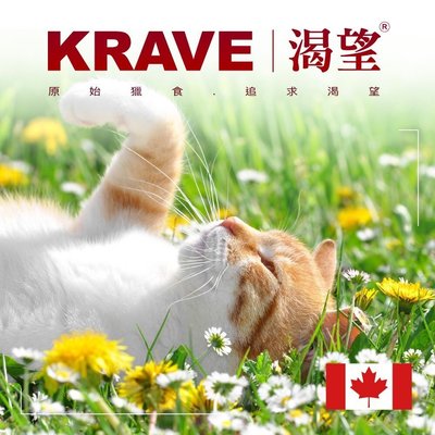 *COCO*KRAVE 加拿大渴望 新配方新包裝無穀貓糧(海陸龍蝦)1kg//渴望貓糧/渴望貓飼料