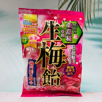日本 立夢 生梅飴 梅子糖 使用紀州南高梅 110g