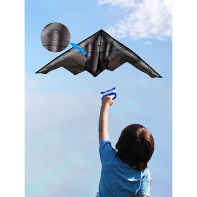 現貨熱銷-濰坊新款飛機新式風箏兒童微風易飛轟炸機風箏大人專用~特價