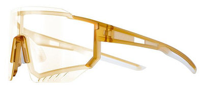 現貨供應 GIANT 捷安特 101AP 變色太陽眼鏡 附近視框 多功能戶外運動太陽眼鏡 特惠價