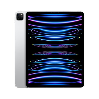 Apple iPad Pro 12.9吋 WiFi 2TB 銀色/太空灰