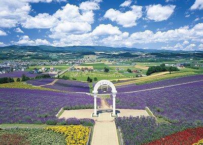 21-509 絕版迷你3000片日本正版拼圖 風景 北海道 開花的富良野之丘