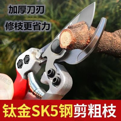 現貨 日本進口SK5鈦鋼粗枝剪刀修剪芒果樹枝修蹄子工具剪盆栽園藝剪子-可開發票