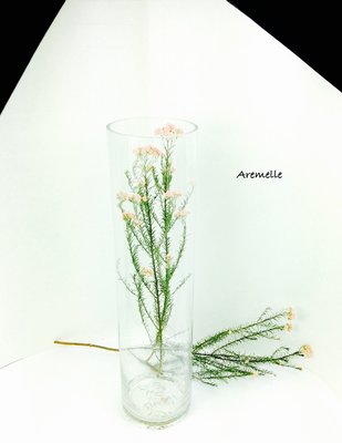 《Are獨立之家》透明玻璃 長條圓柱型花器 花瓶 微景觀 口徑15cm 高60cm