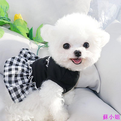 🐱現貨🐶 狗狗夏季裙子 馬爾濟斯 泰迪 比熊 貓咪 博美 貴賓 約克夏 小型犬寵物衣服