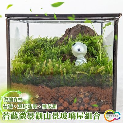 苔蘚微景觀山景玻璃屋組合 DIY打造心中的夢幻島