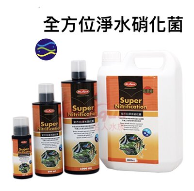 微笑的魚水族☆MR.水族先生【全方位淨水硝化菌500ml】L-MR-202