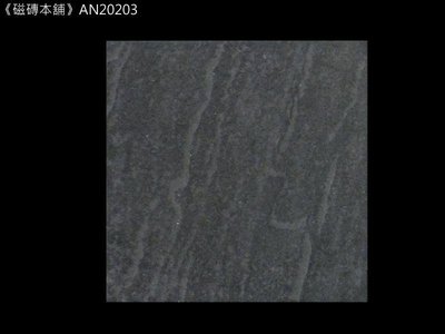 《磁磚本舖》AN20203 灰黑色版岩面地磚 20x20cm 浴室地磚 止滑地磚 臺灣製造