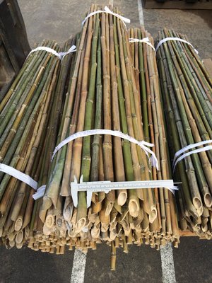 竹竿、4尺100支，口徑1.5-2公分（苗栽支撐架）