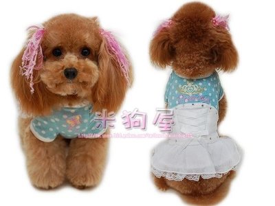【米狗屋】日本Pet Paradise 絨布馬甲點點雪紡紗裙-水藍色˙禮服、吉娃娃、約克夏、貴賓