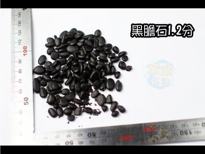 欣欣水族 BB5黑膽石~(磁石磁鐵會吸)1.2分 1公斤賣場~