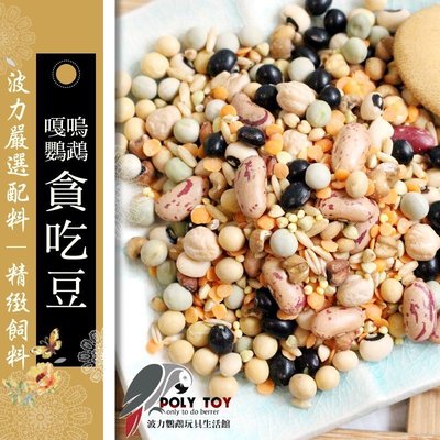 嘎嗚鸚鵡貪吃豆 全新改版 堅果系列 波力鸚鵡玩具生活館