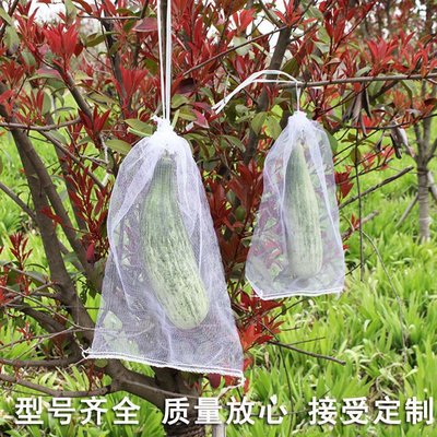 草莓果實套袋水果保護袋防鳥防蟲網袋紗袋透氣番茄無花*特價