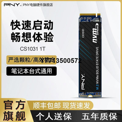 PNY CS1031/CS2241 1T M.2固態硬碟NVME 2280筆電PCIE桌機SSD