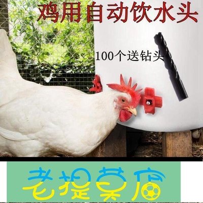 老提莫店-全網最低價雞用小雞飲水器散養雞用飲水乳頭養雞設備養殖用小雞喝水餵水器-效率出貨
