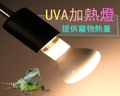 現貨UVA【日間燈泡加熱爬蟲燈泡】E27燈頭 適爬箱木箱寵物箱 飼養箱飼養陸龜守宮蟾蜍蜥蜴青蛙甲蟲蟒蛇繁殖保溫保暖可參考