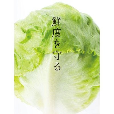 日本製 Biocera 蔬果鮮度保持器 鮮度保持盒