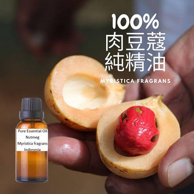 100%肉豆蔻純精油Nutmeg-Pure Essential Oil-30ml