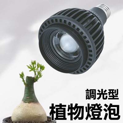植物生長燈廠商 君沛光電 LED植物燈 20瓦調光型 高亮全光譜 E27植物燈泡 100-240V全球電壓通用