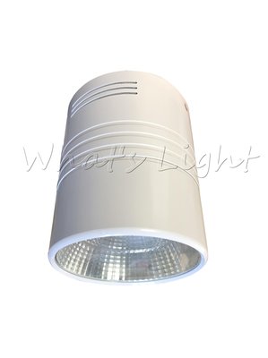 划得來LED燈飾~現代時尚簡約 北歐風 高亮度 COB 30W LED吸頂筒燈 聚光吸頂燈 MH-80130-A 含稅