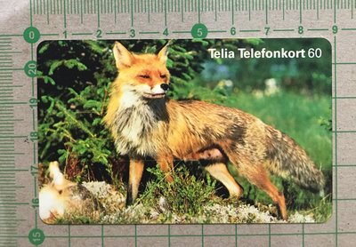 【卡庫】【動物】瑞典1999年，紅狐  KSE6105