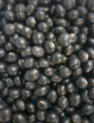 廚房百味:黑豆 一斤裝（600公克）黑豆 生青仁黑豆