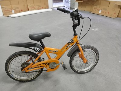 捷安特兒童腳踏車