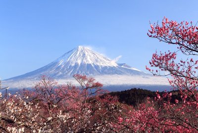 《拼圖家》木質拼圖2000片-東京 富士山3