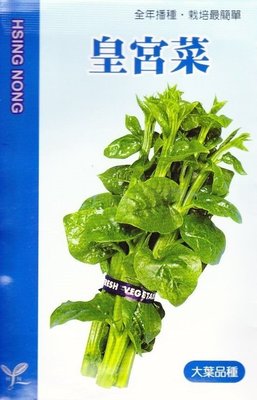 皇宮菜【蔬果種子】興農牌 中包裝種子 約5ml/包