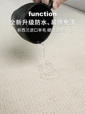 現貨：羊毛地毯客廳日式極簡輕奢高級純色混紡防水防污侘寂風臥室床邊毯
